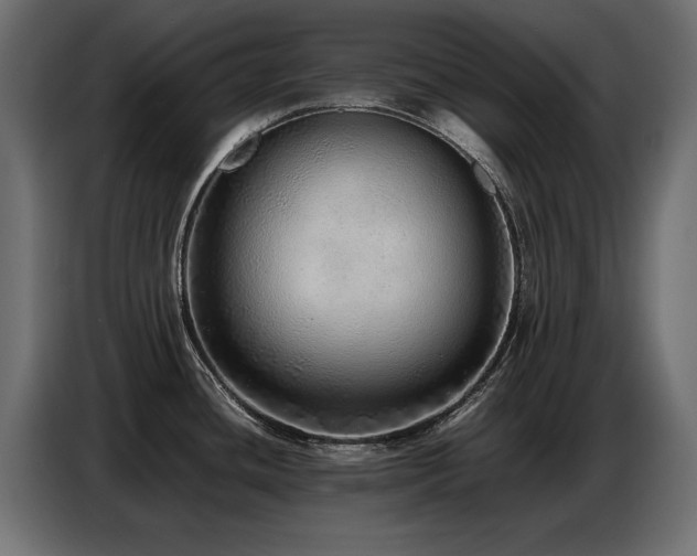 X0000087751436200705071104