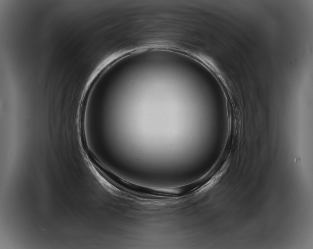 X0000087751438200705071104