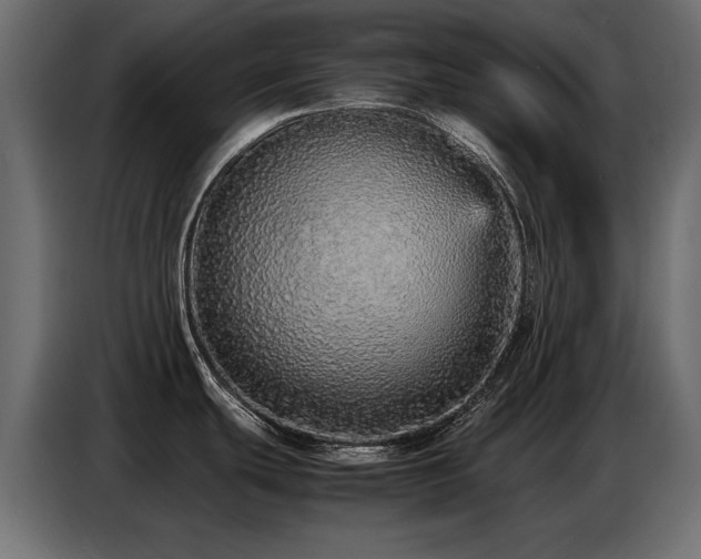 X0000087751439200705071104
