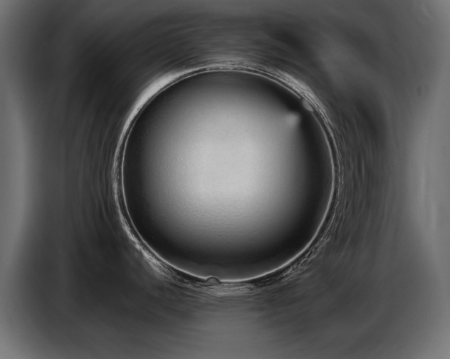 X0000087751440200705071104