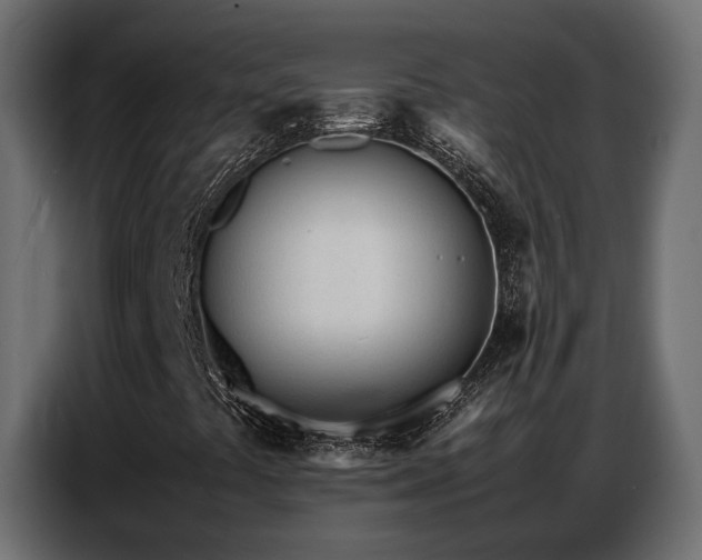 X0000087751441200705071103