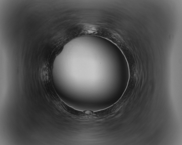 X0000087751442200705071103