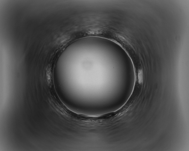 X0000087751444200705071103