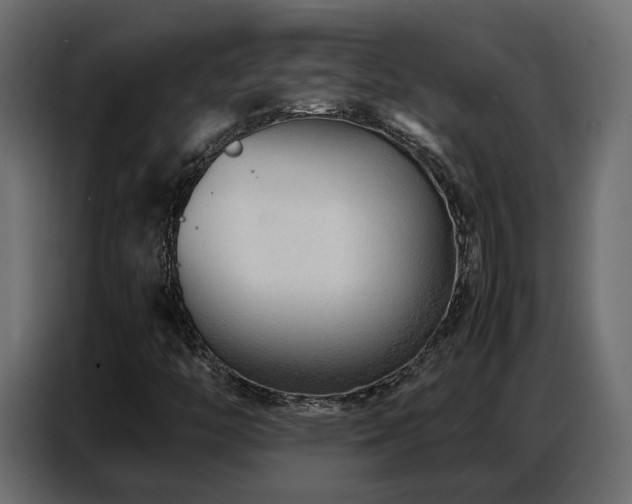 X0000087751446200705071103