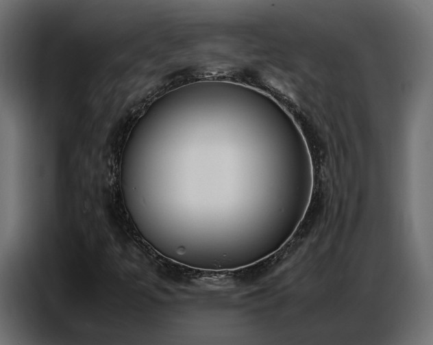 X0000087751447200705071103