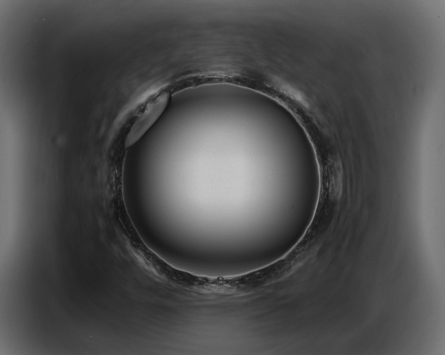 X0000087751448200705071103