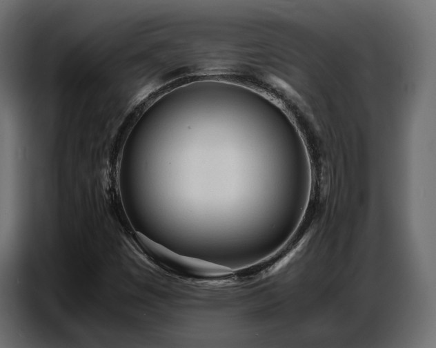 X0000087751449200705071103