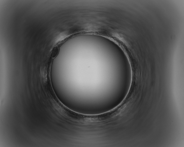X0000087751451200705071103
