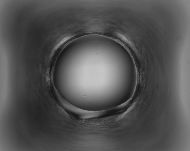 X0000087751453200705071103