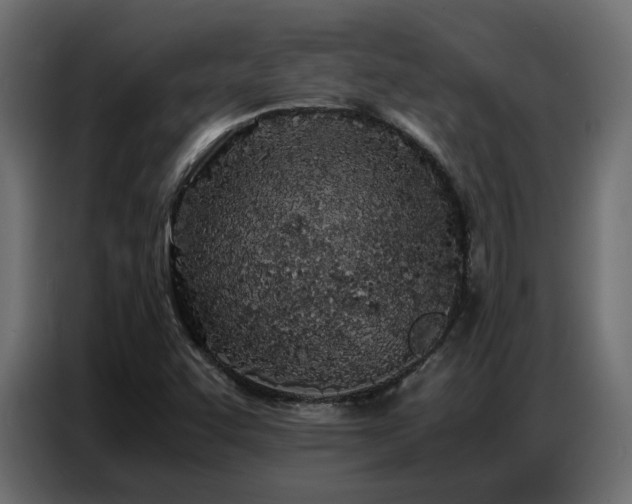 X0000087751455200705071103
