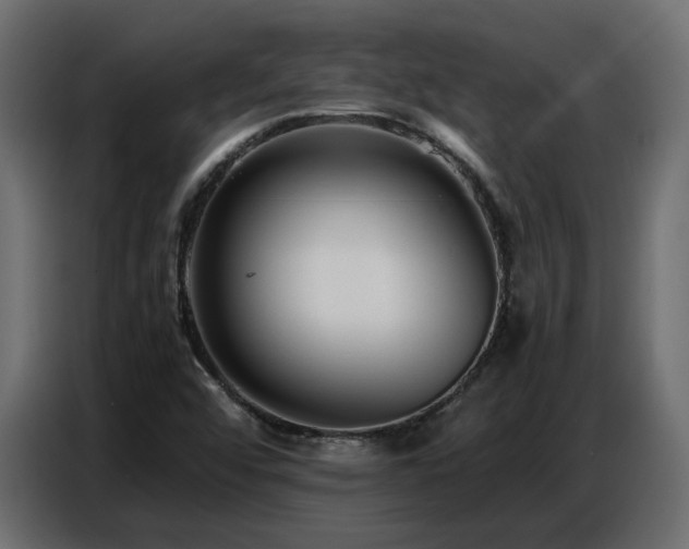 X0000087751456200705071103