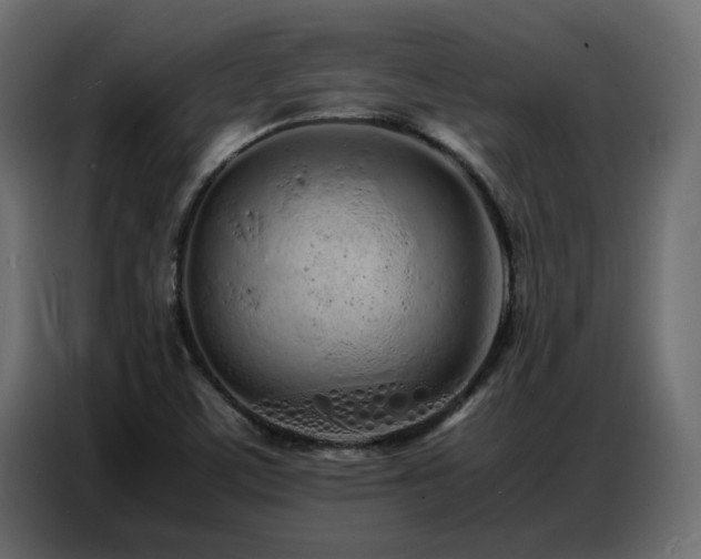 X0000087751459200705071103