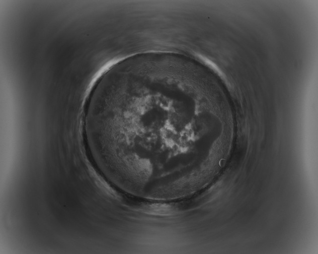 X0000087751463200705071103