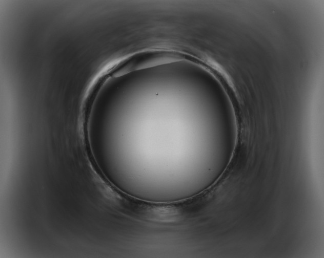 X0000087751464200705071103