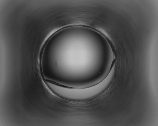 X0000087751468200705071103