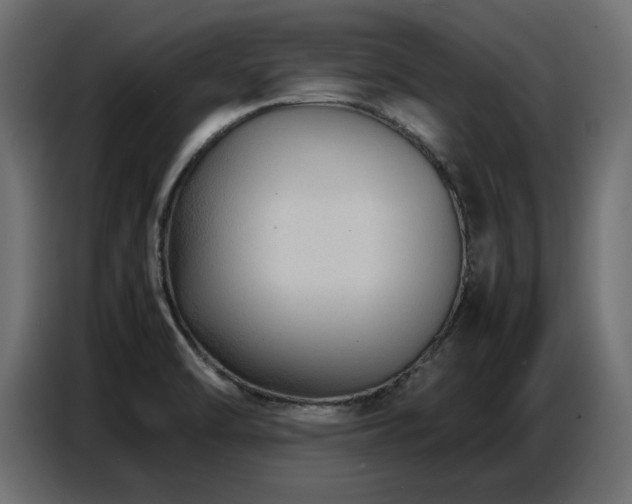 X0000087751470200705071103