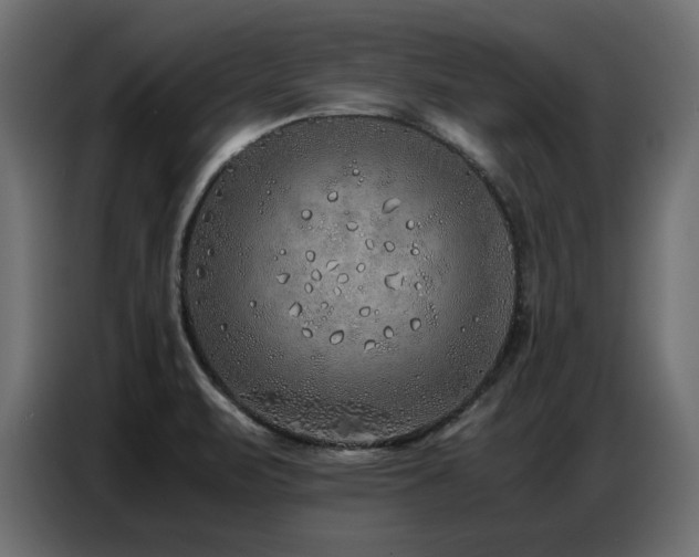X0000087751471200705071103