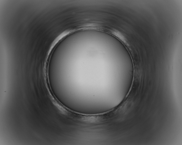X0000087751474200705071103