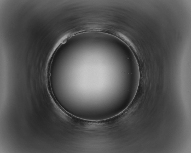 X0000087751475200705071103