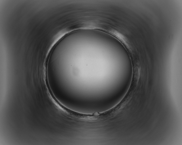 X0000087751476200705071103