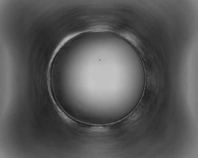 X0000087751478200705071103