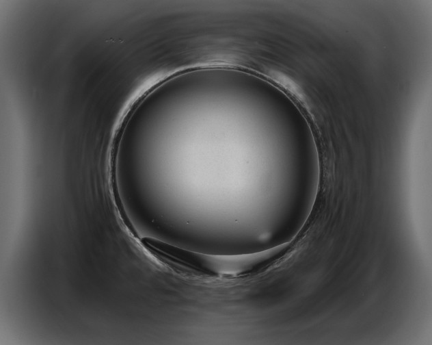 X0000087751480200705071103