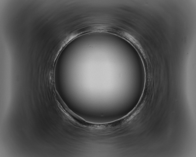 X0000087751481200705071103