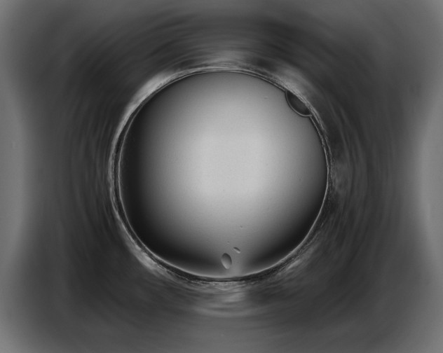 X0000087751482200705071103