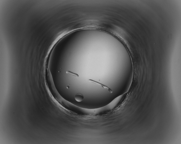 X0000087751483200705071103