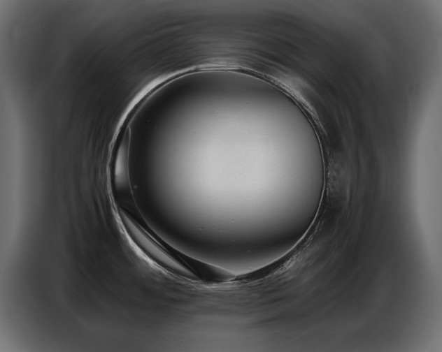 X0000087751484200705071103