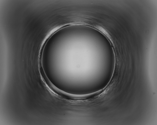 X0000087751485200705071103