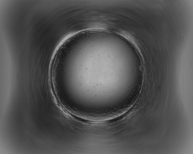 X0000087751488200705071103