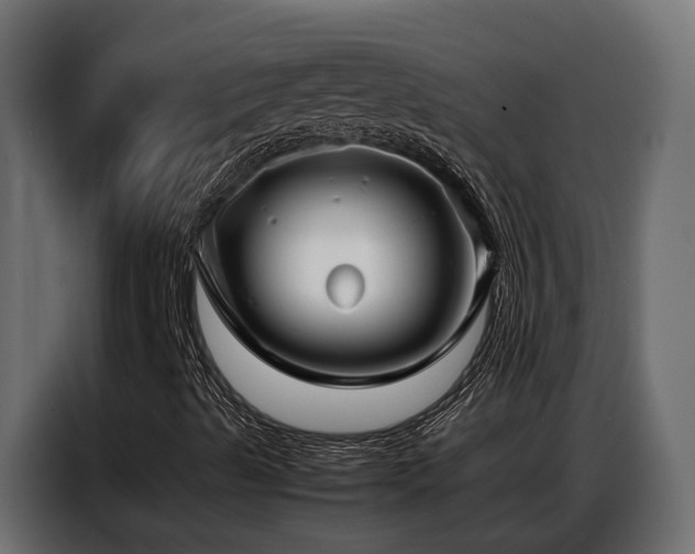 X0000087751489200705071102
