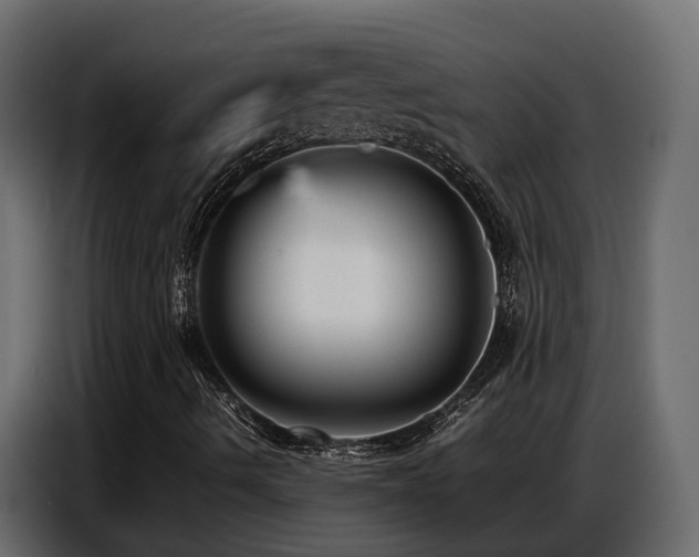 X0000087751490200705071102