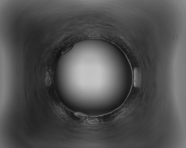 X0000087751491200705071102
