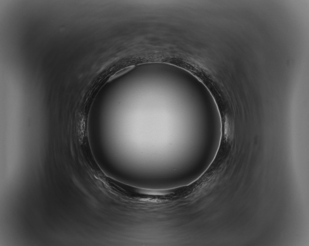X0000087751492200705071102