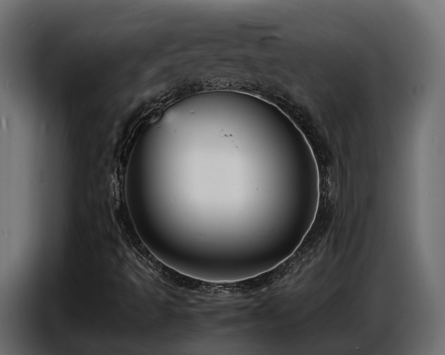 X0000087751493200705071102