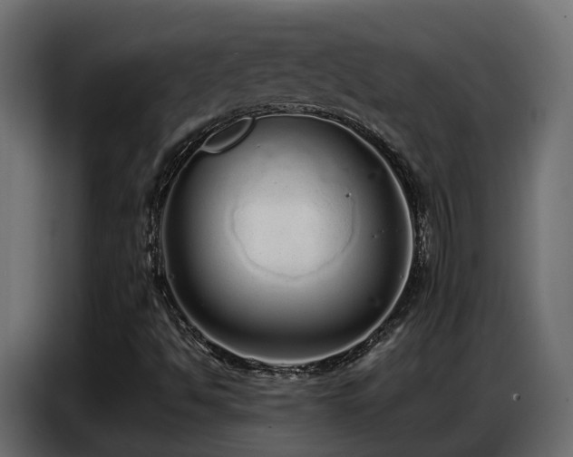 X0000087751494200705071102