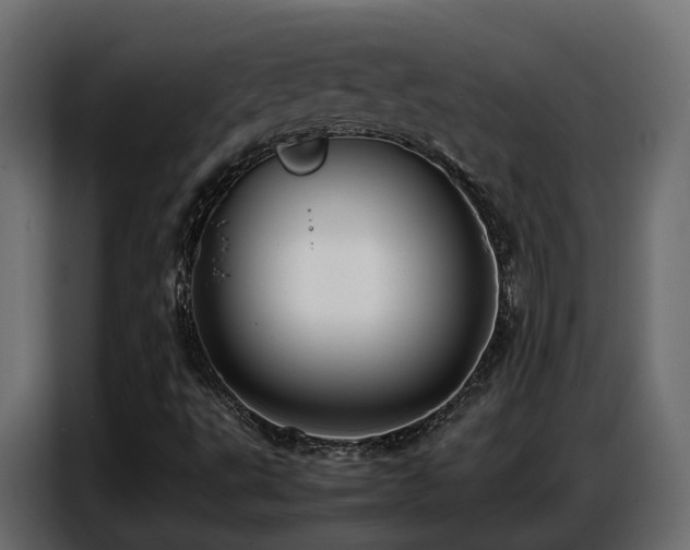 X0000087751495200705071102