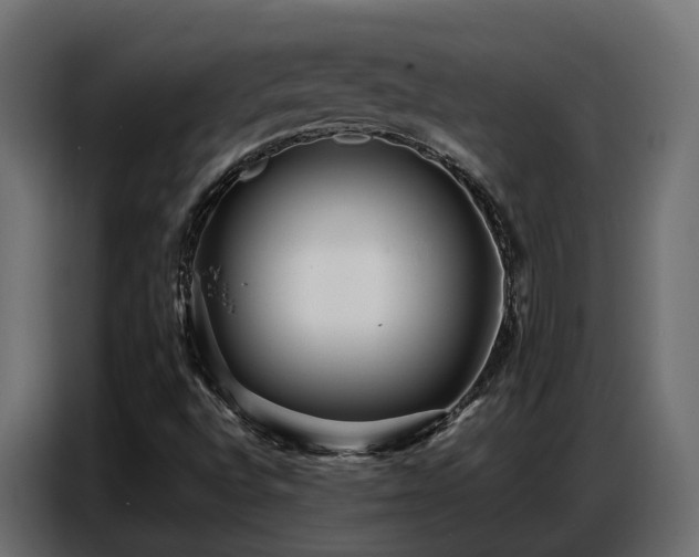 X0000087751496200705071102
