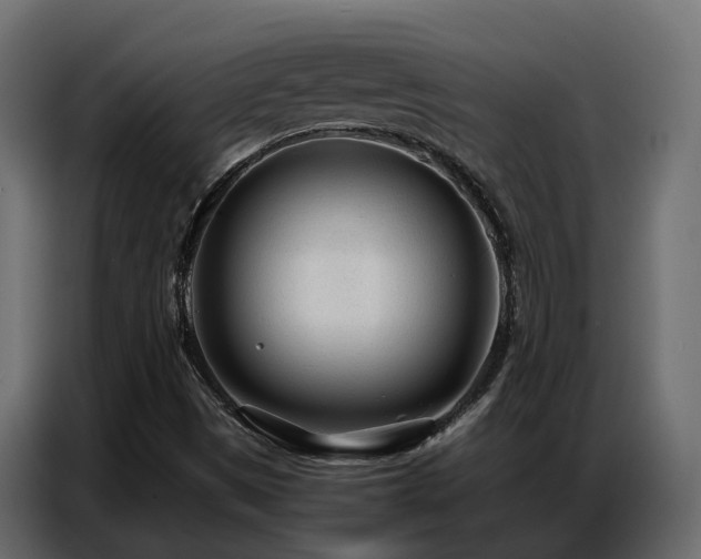 X0000087751497200705071102