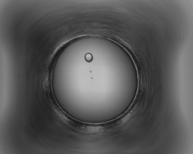X0000087751498200705071102