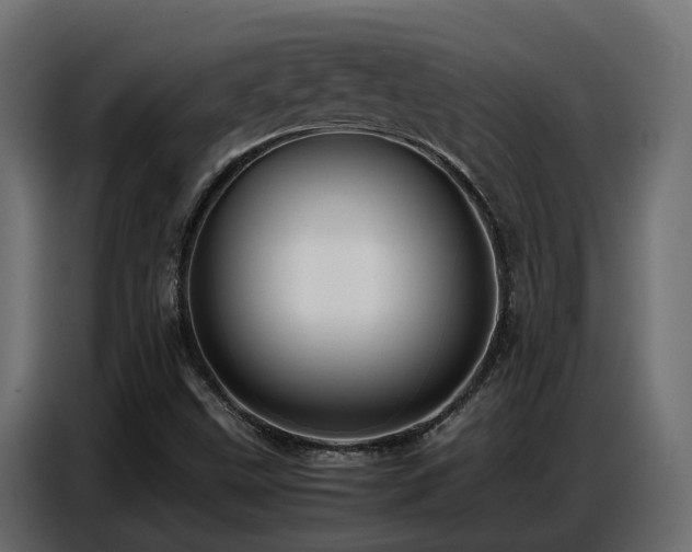 X0000087751499200705071102