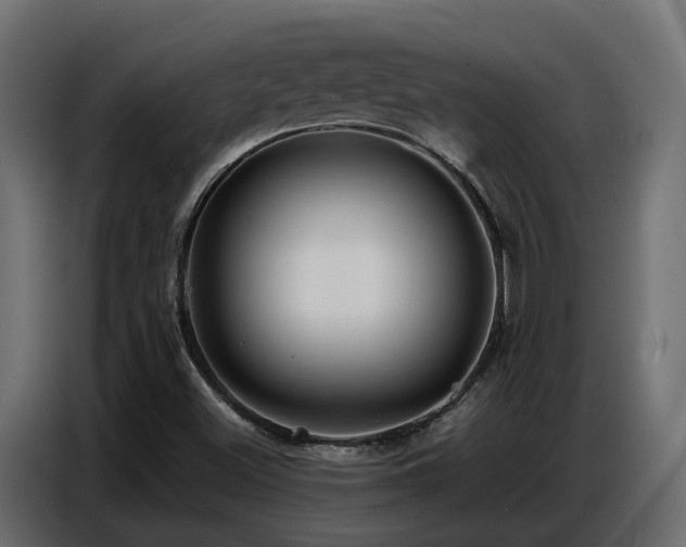 X0000087751500200705071102