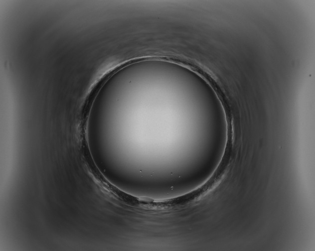 X0000087751501200705071102