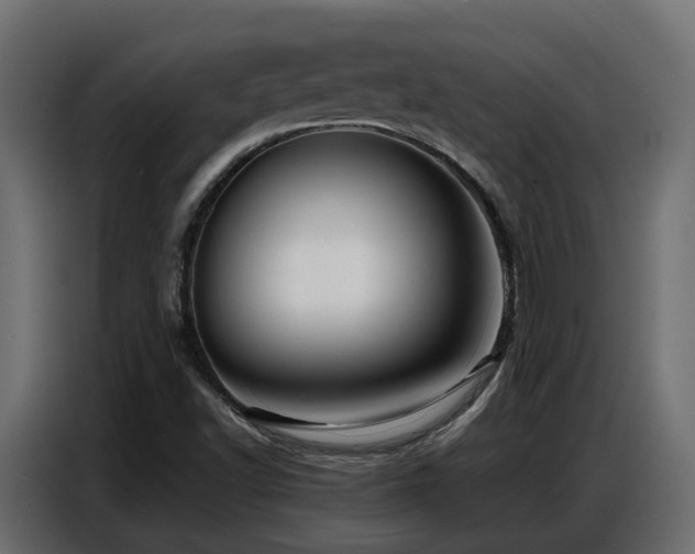X0000087751502200705071102