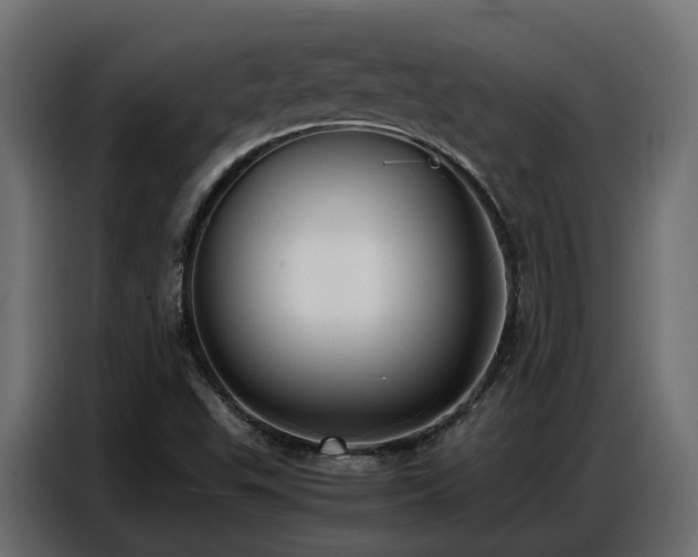 X0000087751503200705071102