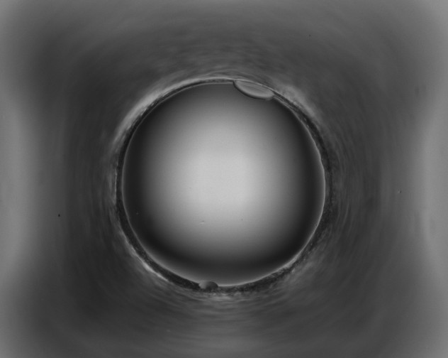 X0000087751504200705071102