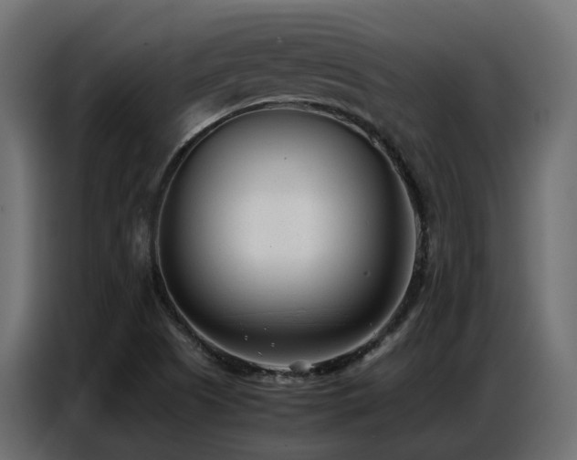 X0000087751505200705071102