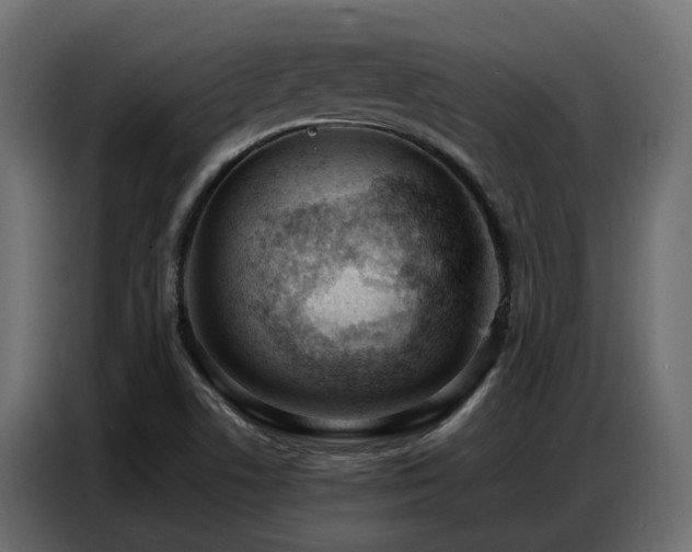 X0000087751506200705071102